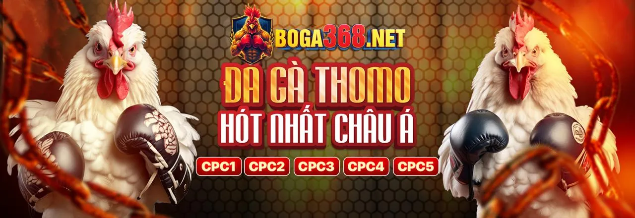 Lợi ích khi chơi đá gà tại viva88 nổ hũ